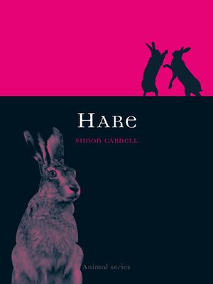 cover image of Hare